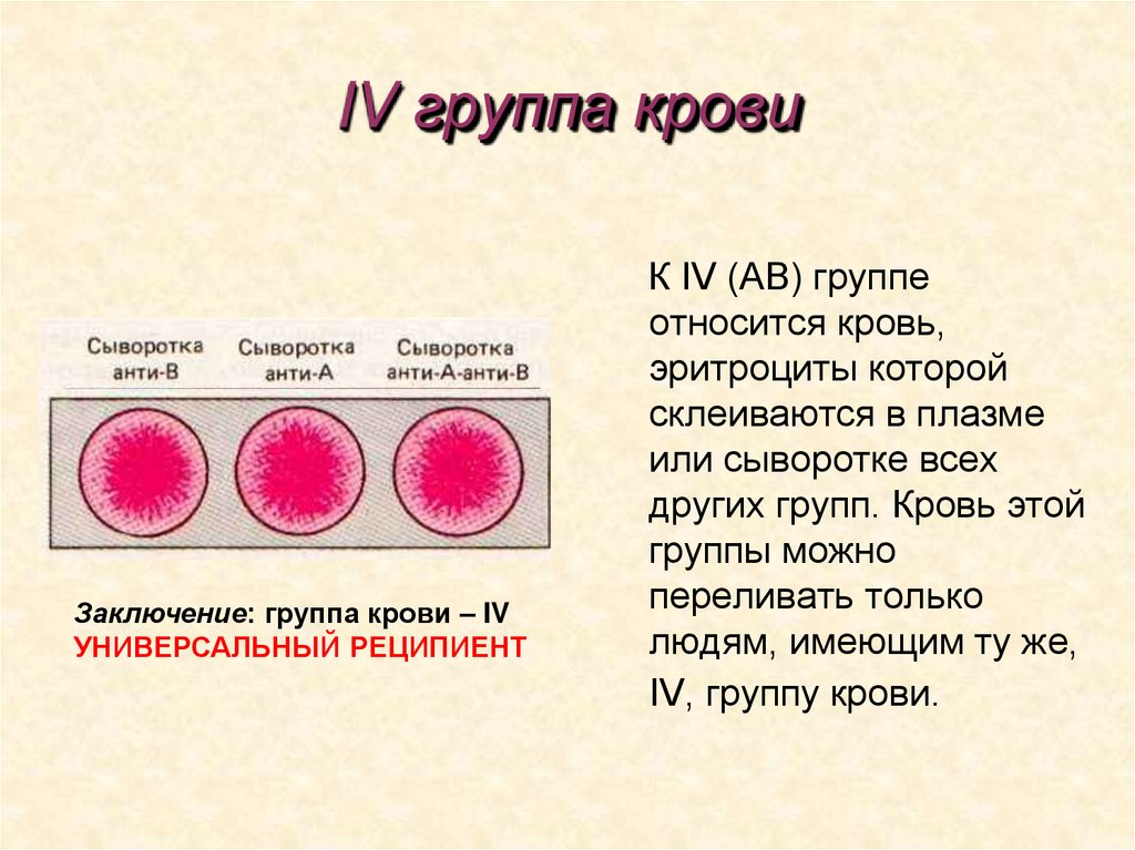 IV группа крови