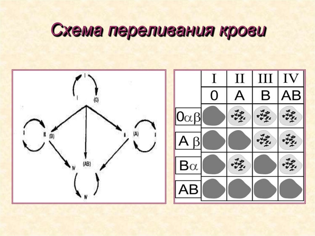 Схема переливания крови
