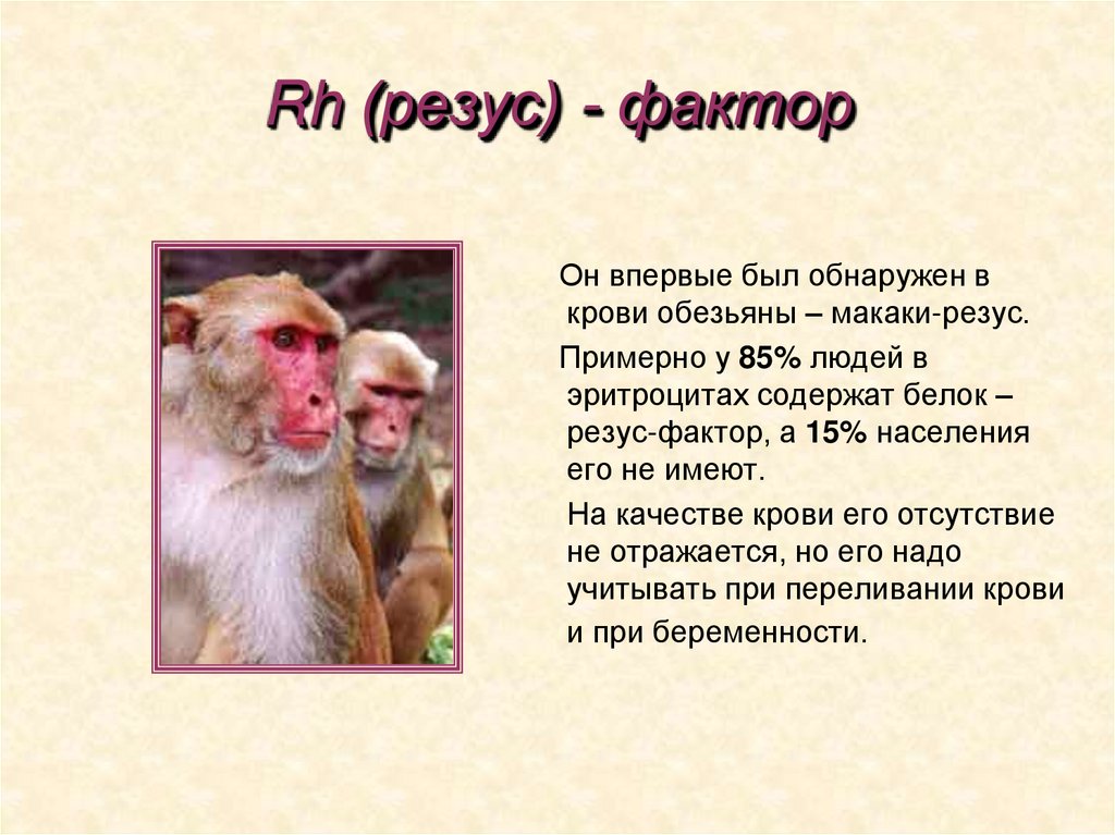 Rh (резус) - фактор