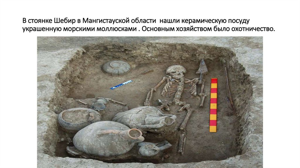 В стоянке Шебир в Мангистауской области  нашли керамическую посуду украшенную морскими моллюсками . Основным хозяйством было