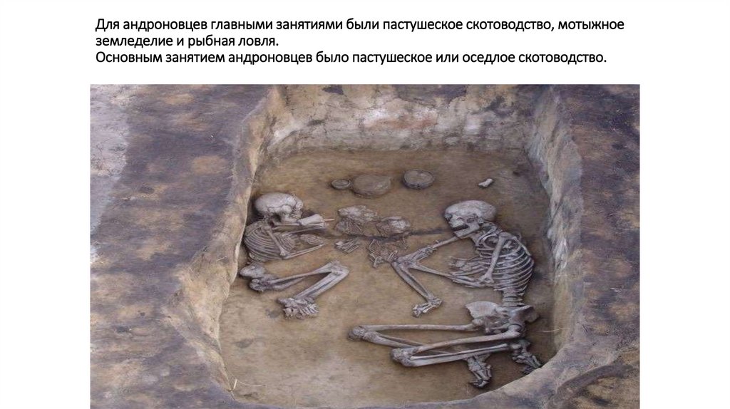 Для андроновцев главными занятиями были пастушеское скотоводство, мотыжное земледелие и рыбная ловля. Основным занятием