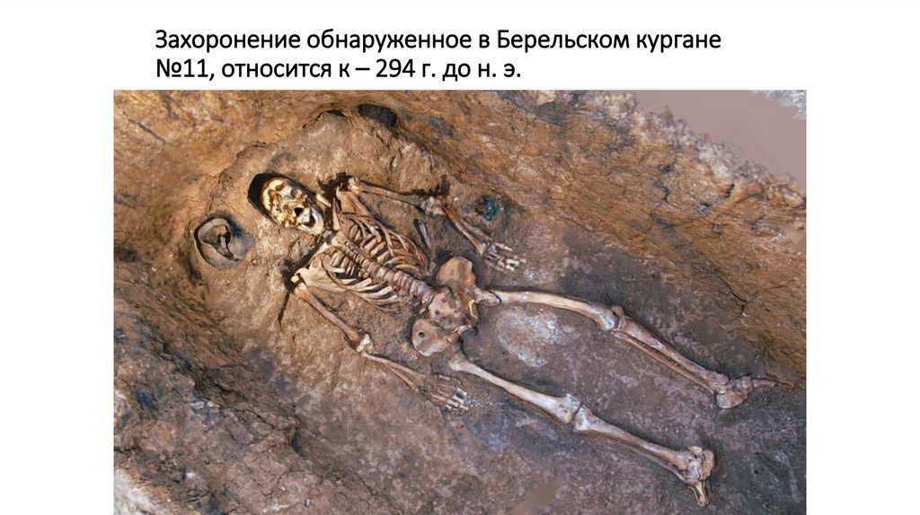 Захоронение обнаруженное в Берельском кургане №11, относится к – 294 г. до н. э.