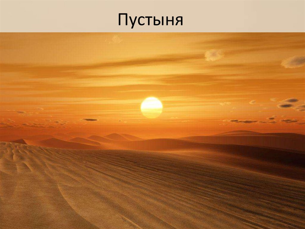 Пустыня