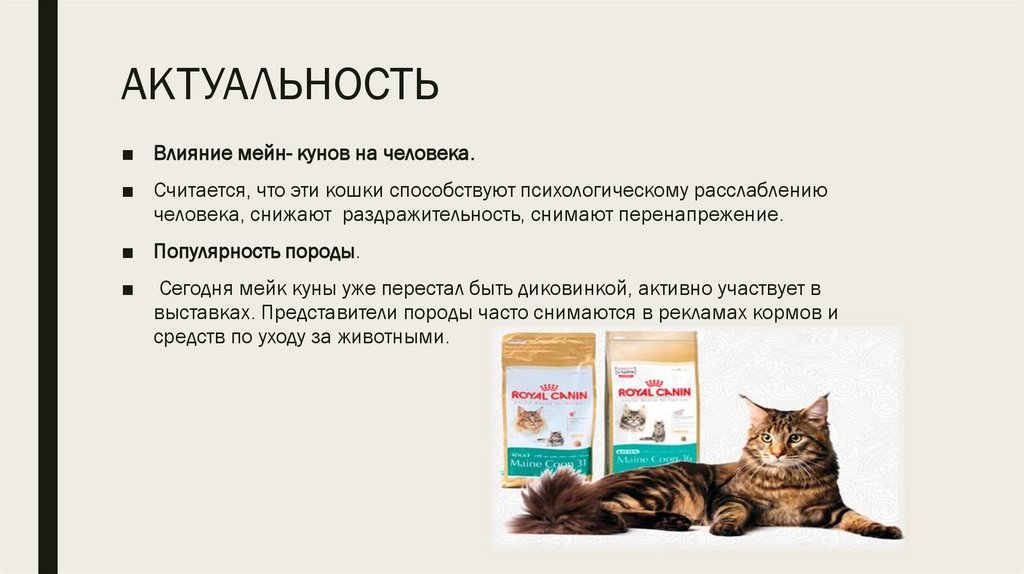 АКТУАЛЬНОСТЬ