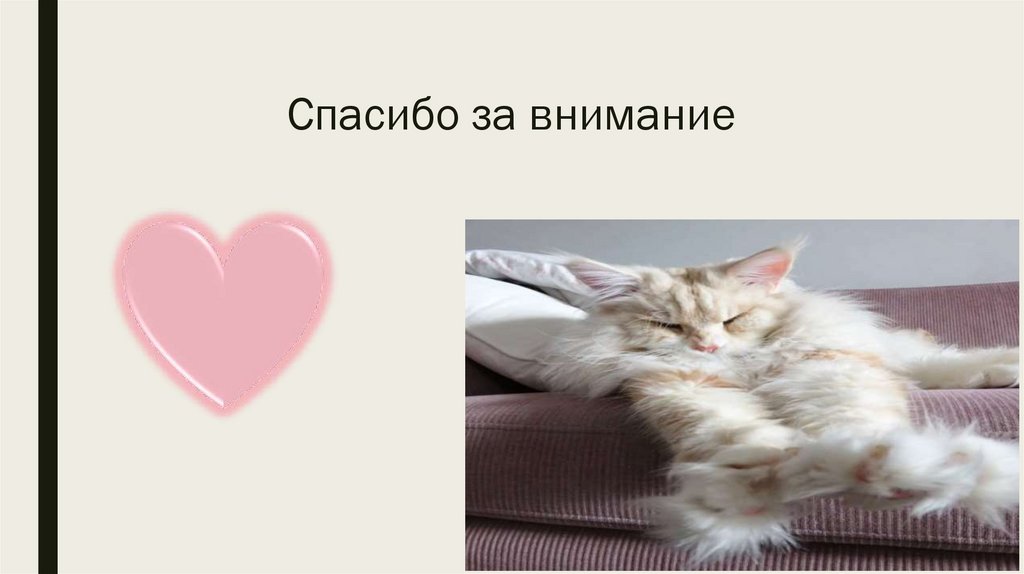 Спасибо за внимание