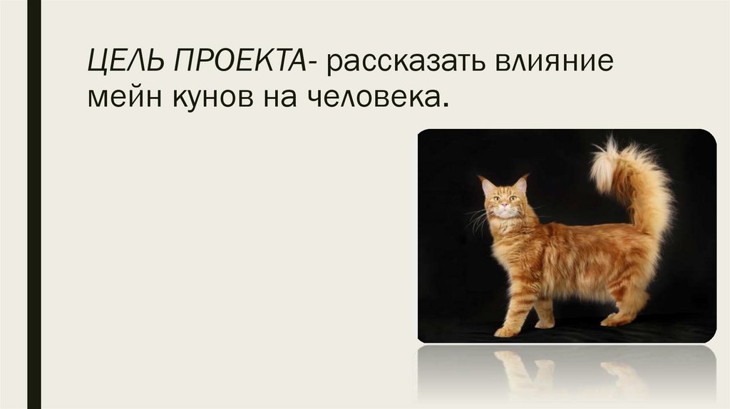 ЦЕЛЬ ПРОЕКТА- рассказать влияние мейн кунов на человека.