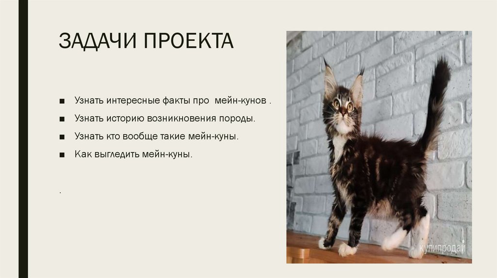 ЗАДАЧИ ПРОЕКТА