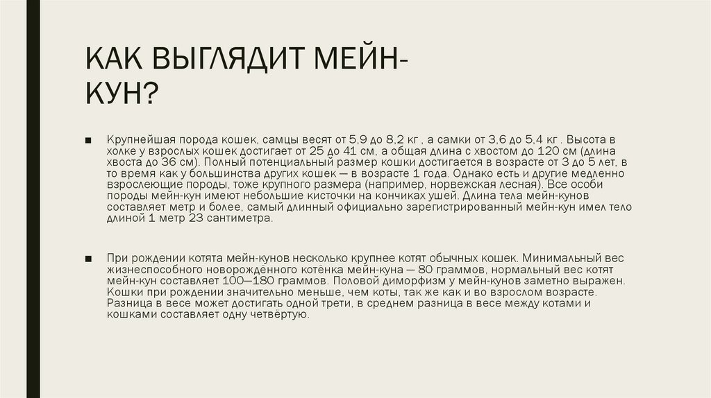 КАК ВЫГЛЯДИТ МЕЙН- КУН?