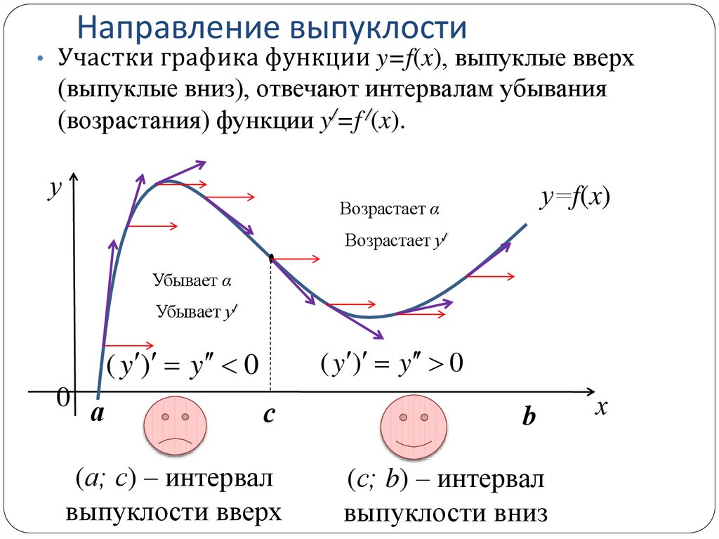 Направление выпуклости