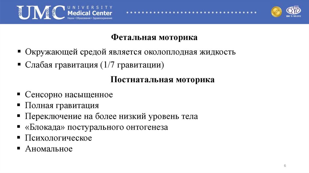Фетальная моторика