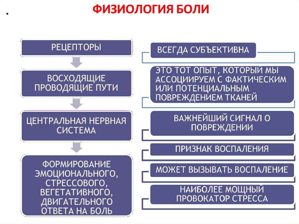 ФИЗИОЛОГИЯ БОЛИ