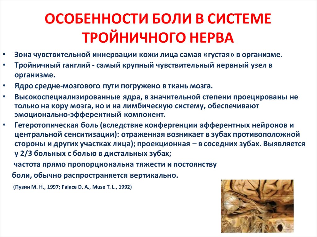 ОСОБЕННОСТИ БОЛИ В СИСТЕМЕ ТРОЙНИЧНОГО НЕРВА