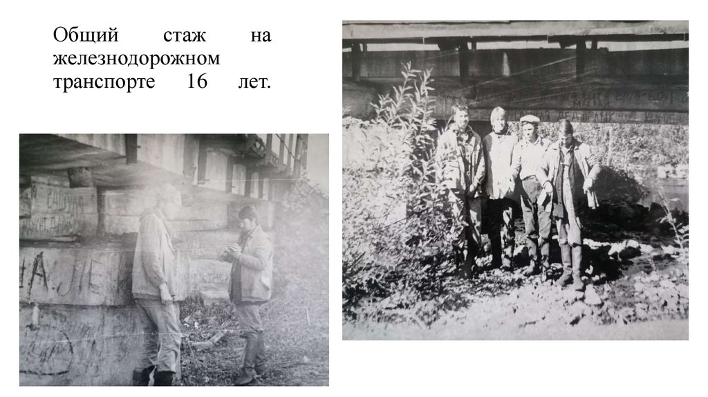 Общий стаж на железнодорожном транспорте 16 лет.