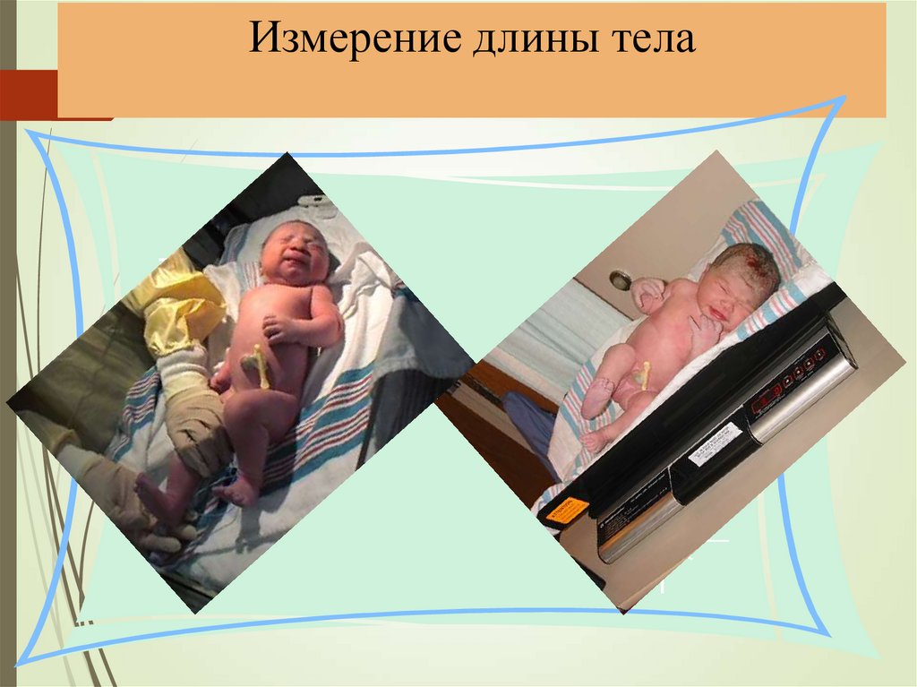 Измерение длины тела