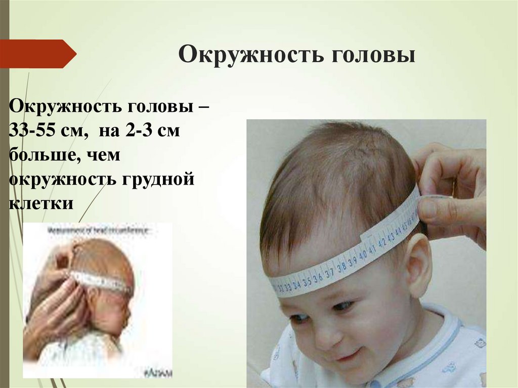 Окружность головы