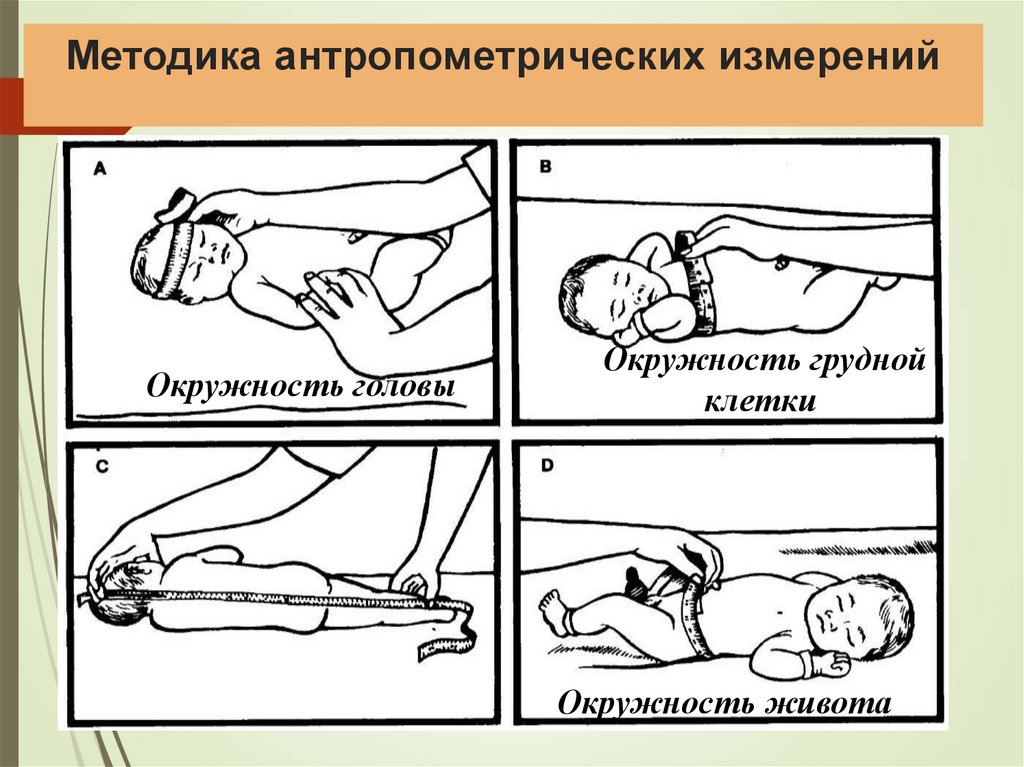 Методика антропометрических измерений