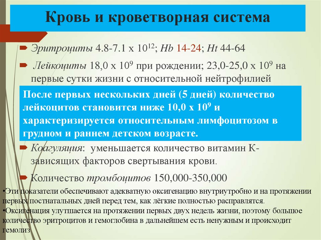 Кровь и кроветворная система