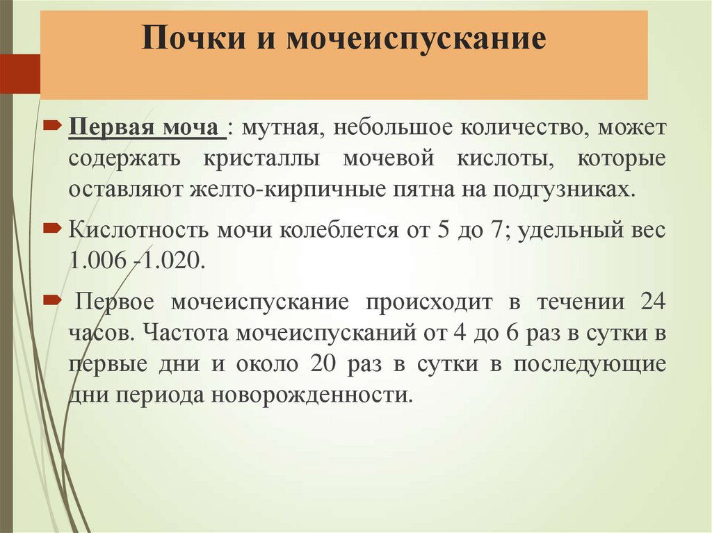 Почки и мочеиспускание