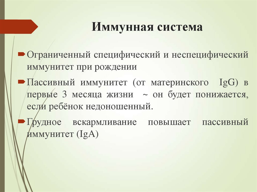 Иммунная система