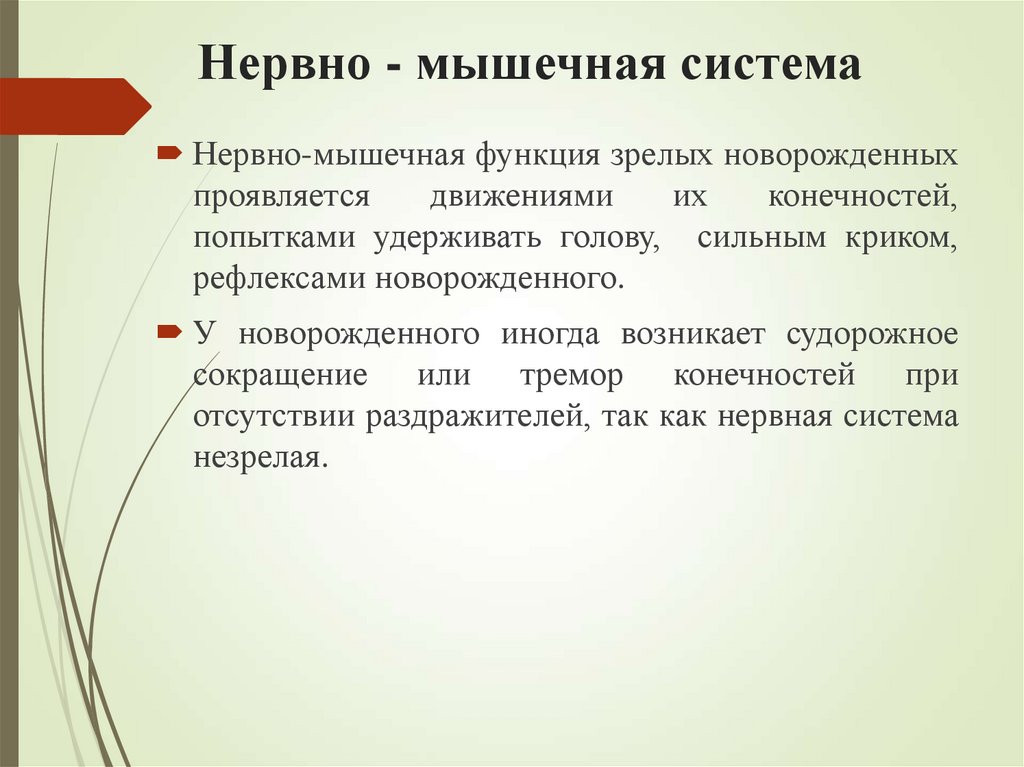 Нервно - мышечная система