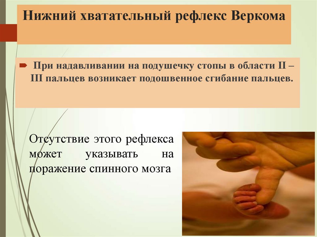 Нижний хватательный рефлекс Веркома