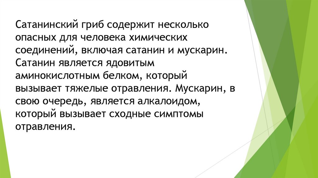 Сатанинский гриб содержит несколько опасных для человека химических соединений, включая сатанин и мускарин. Сатанин является