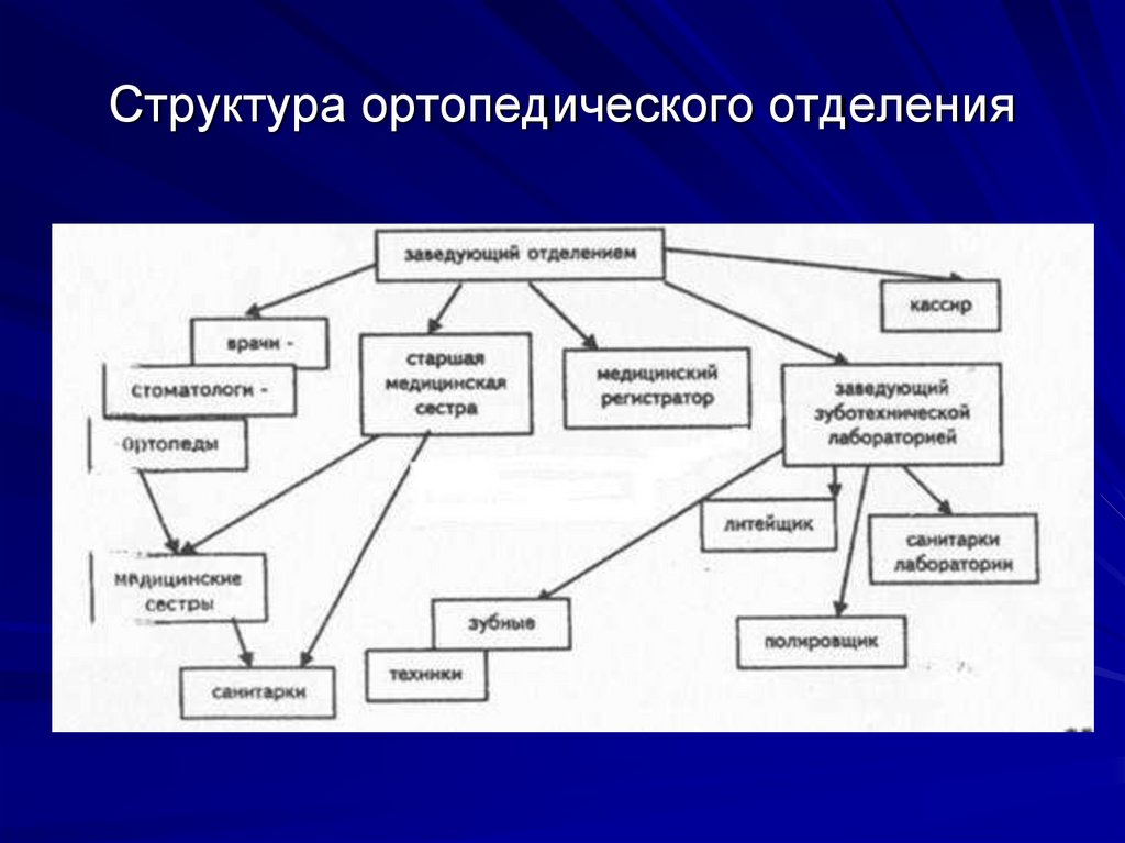 Структура ортопедического отделения