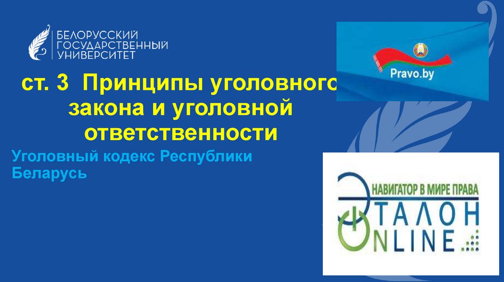 ст. 3 Принципы уголовного закона и уголовной ответственности