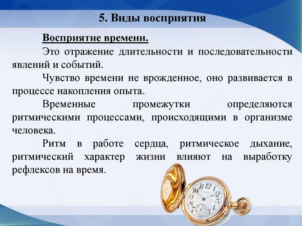 5. Виды восприятия