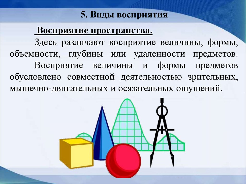 5. Виды восприятия