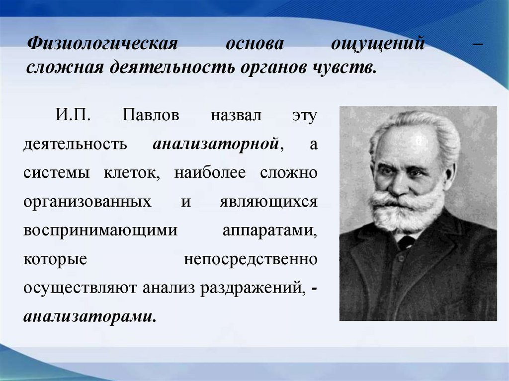 Физиологическая основа ощущений – сложная деятельность органов чувств.