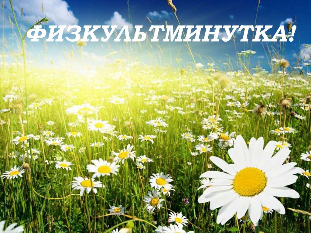 ФИЗКУЛЬТМИНУТКА!