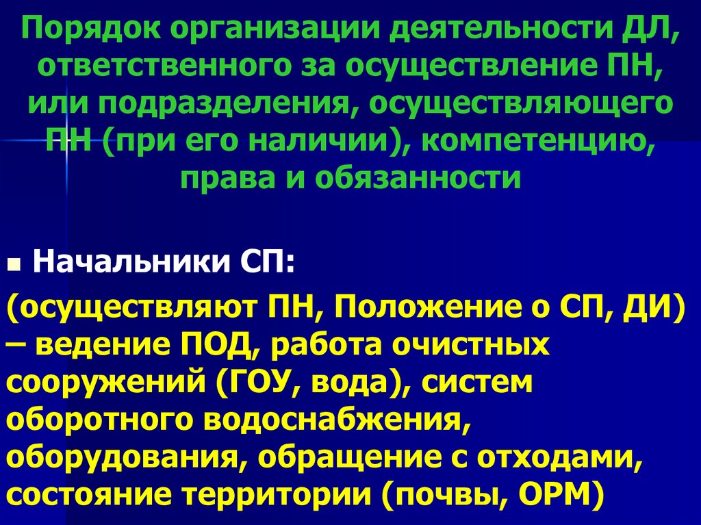 Порядок организации деятельности ДЛ, ответственного за осуществление ПН, или подразделения, осуществляющего ПН (при его
