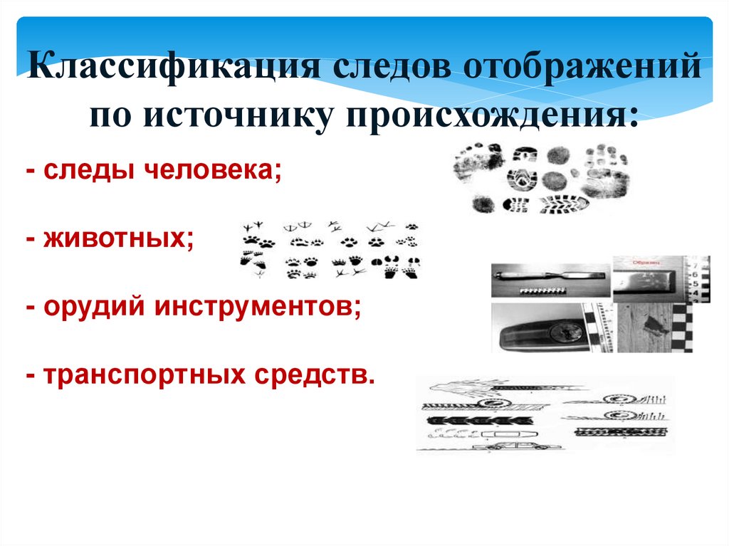 Классификация следов отображений по источнику происхождения: