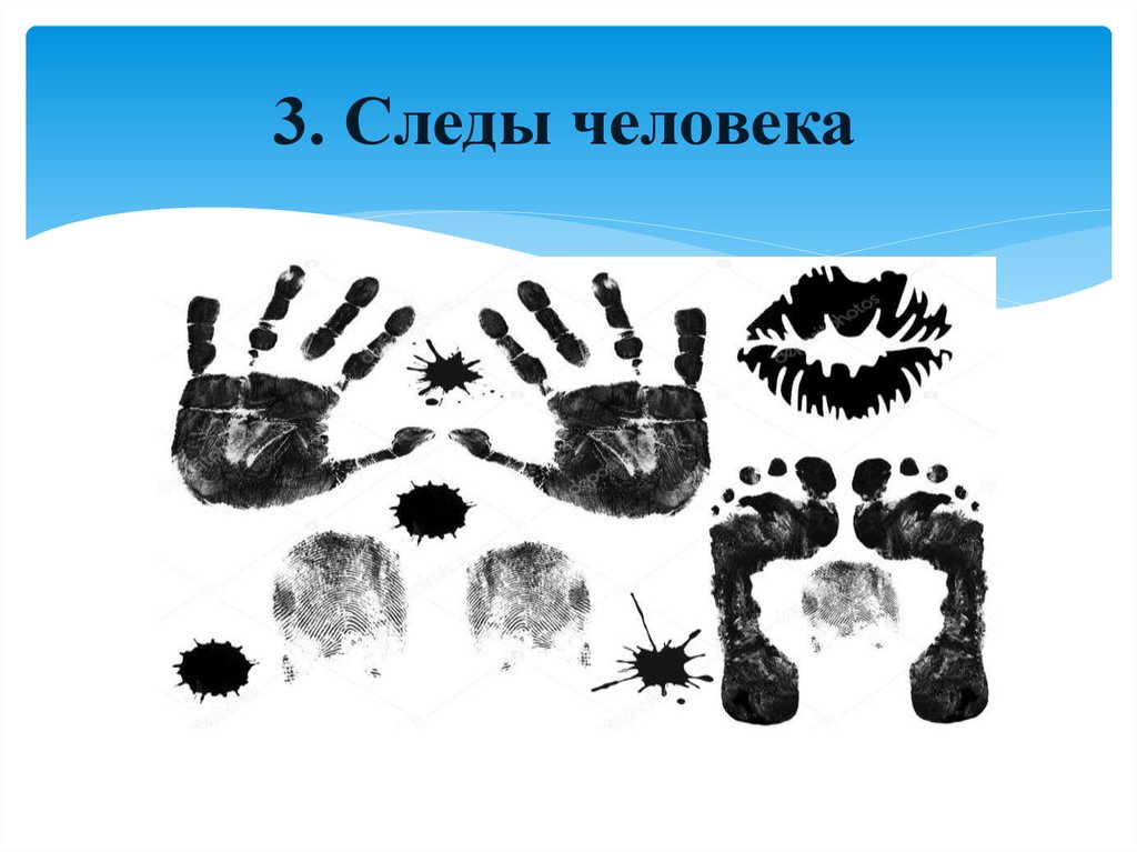 3. Следы человека