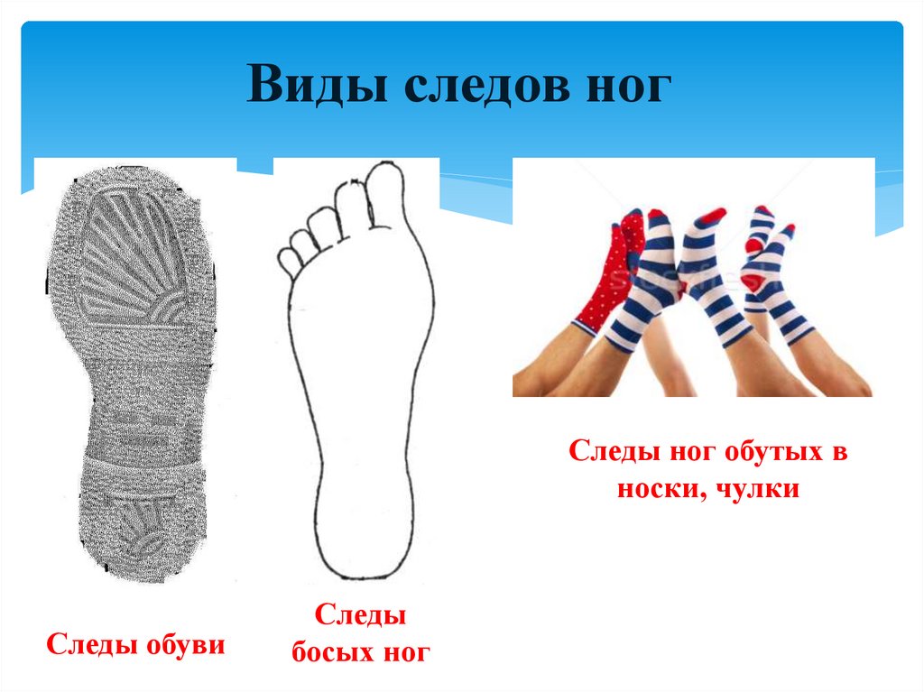 Виды следов ног
