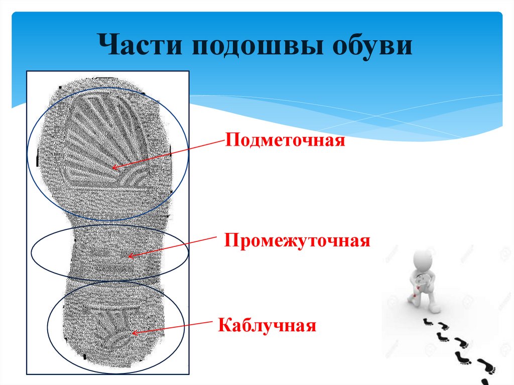 Части подошвы обуви