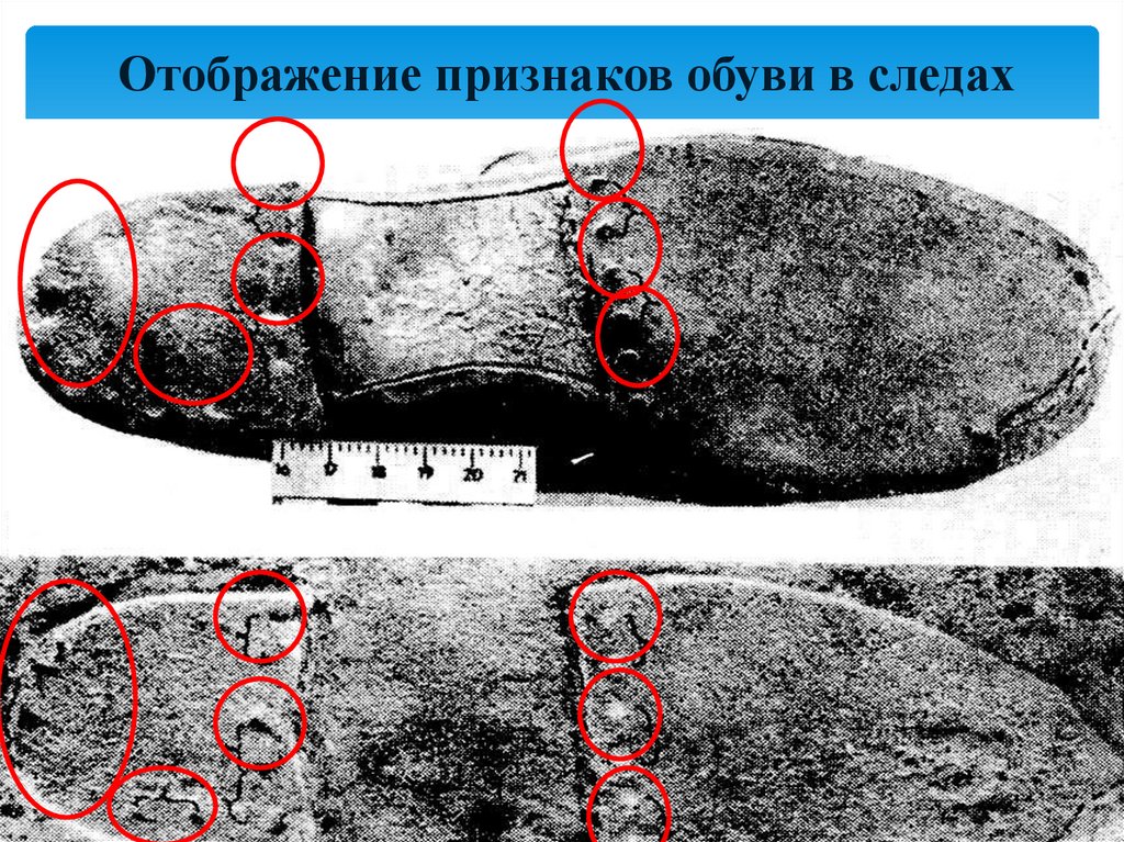 Отображение признаков обуви в следах