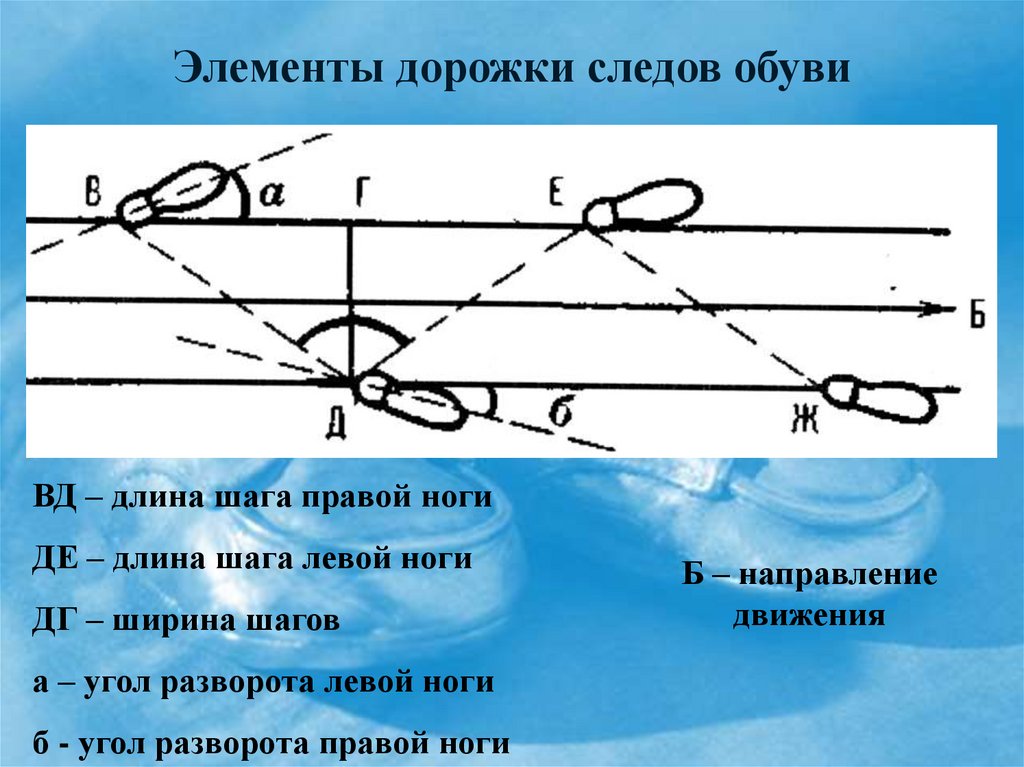 Элементы дорожки следов обуви