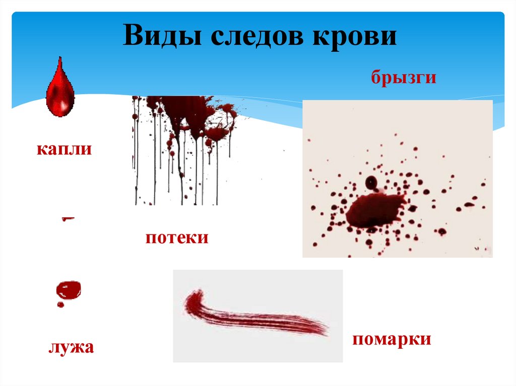 Виды следов крови
