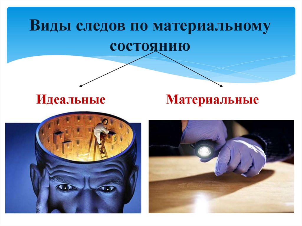 Виды следов по материальному состоянию