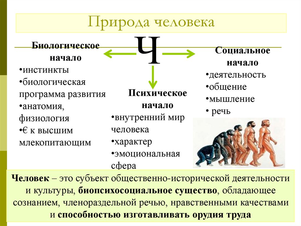 Природа человека