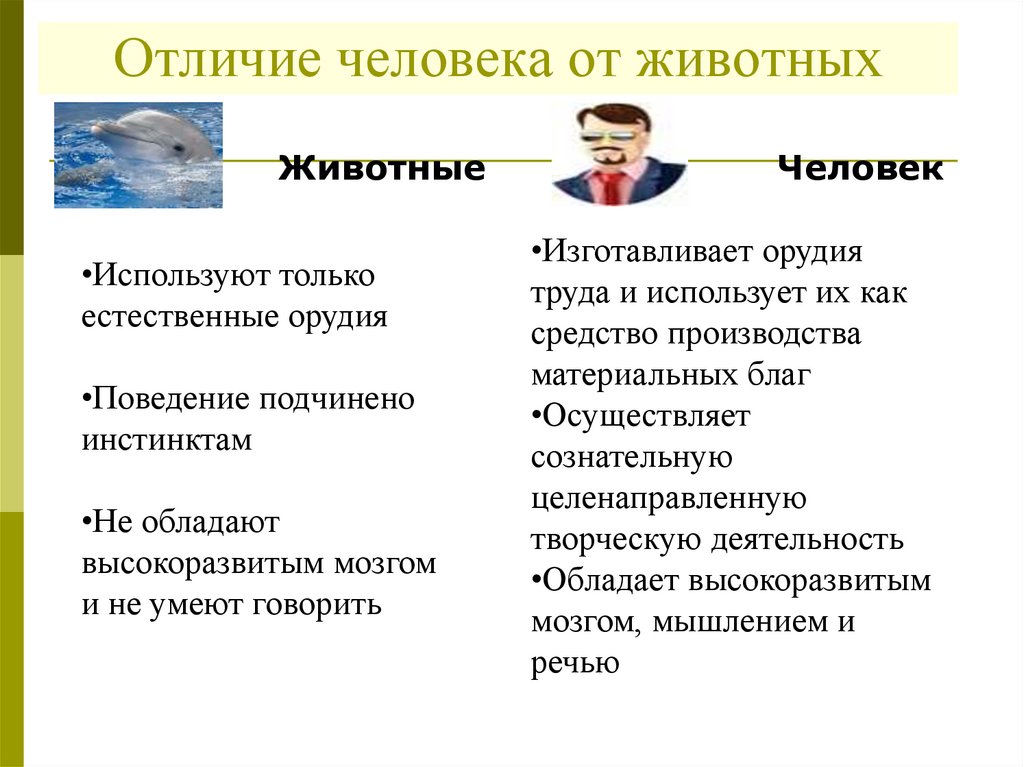 Отличие человека от животных