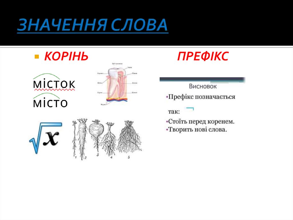 ЗНАЧЕННЯ СЛОВА