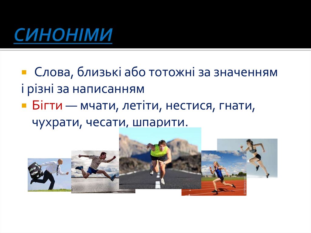 СИНОНІМИ
