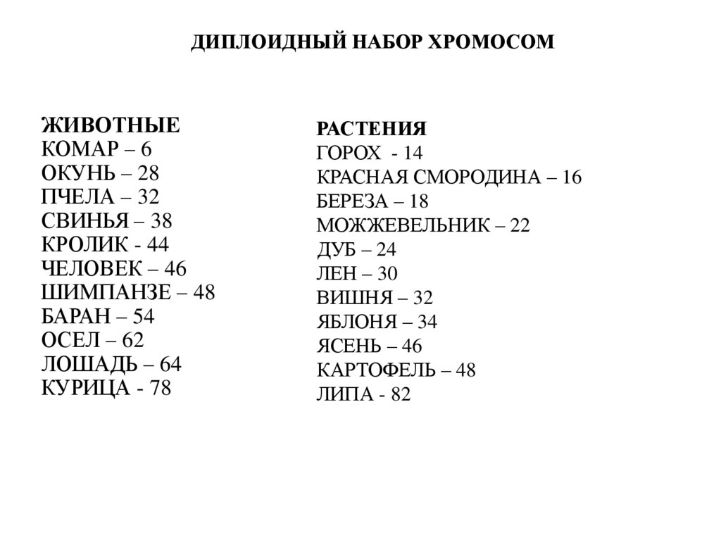 ДИПЛОИДНЫЙ НАБОР ХРОМОСОМ