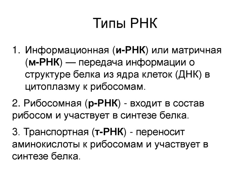 Типы РНК