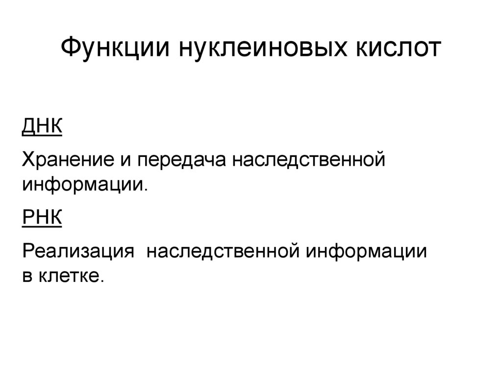 Функции нуклеиновых кислот