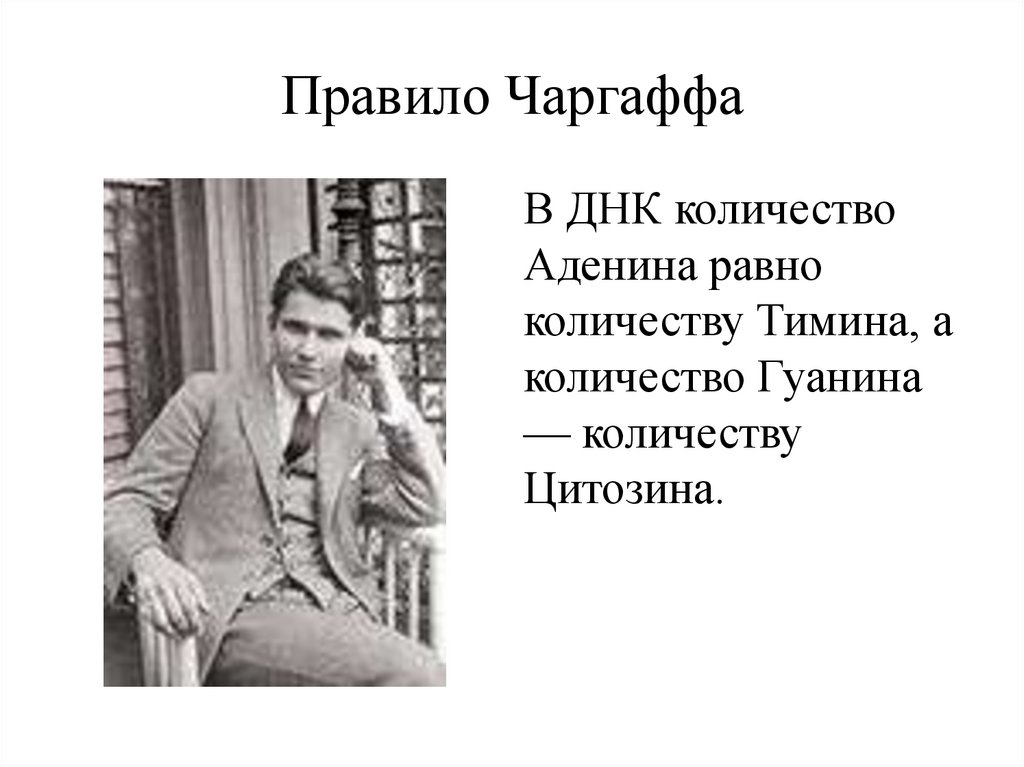 Правило Чаргаффа