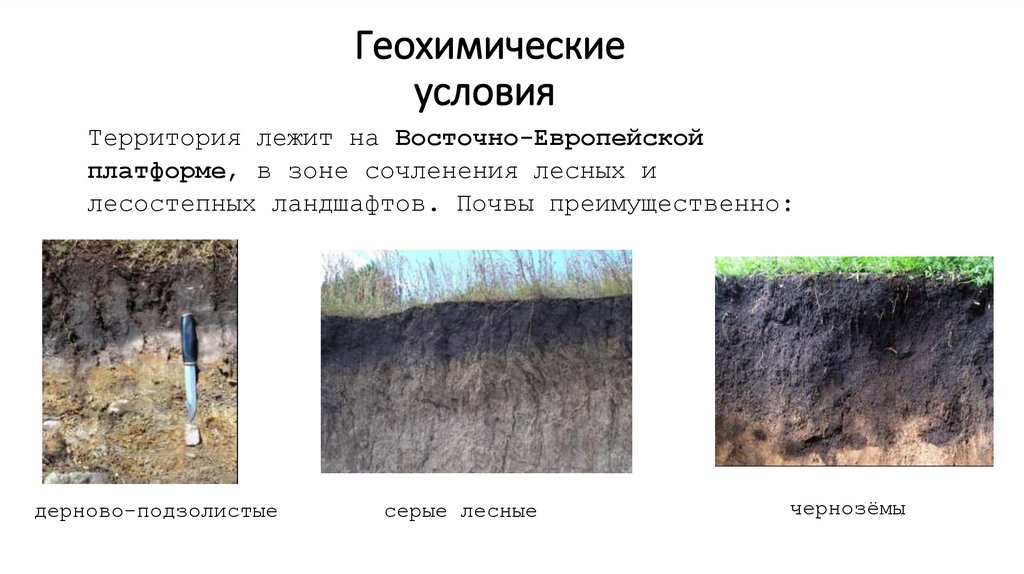 Геохимические условия